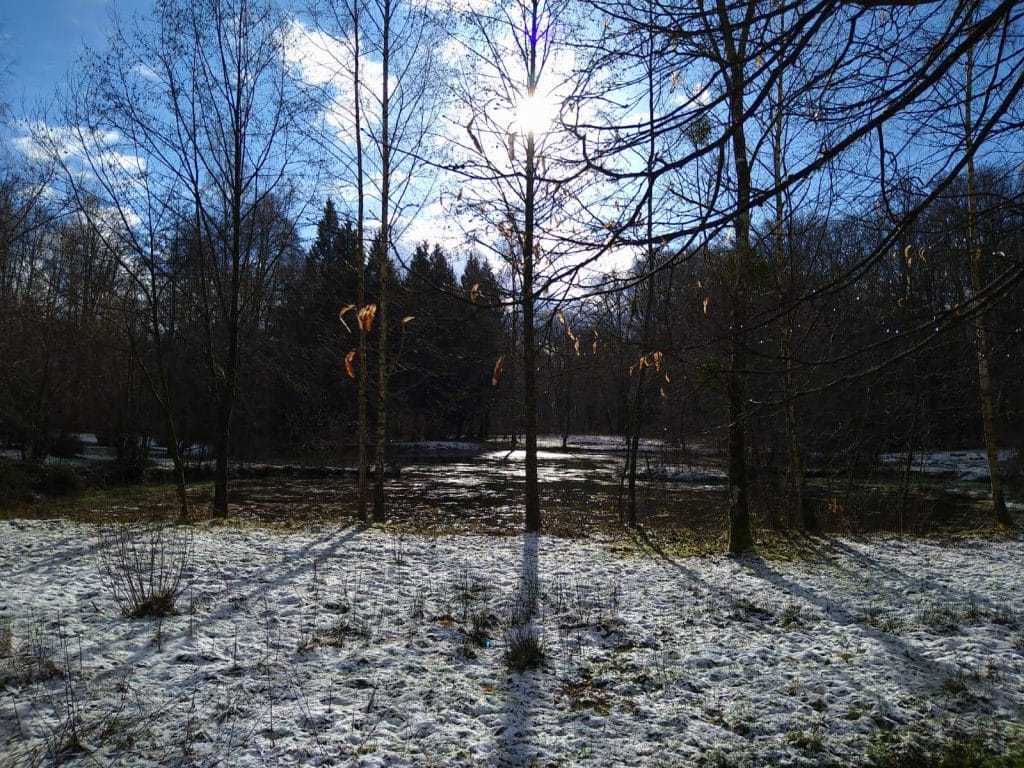 IMG 20210124 WA0026 | langledubonheur